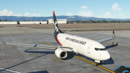 PMDG 737-700 North American Cargo