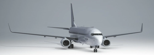 PMDG 737-800 White (Unpainted BW & SSW)