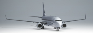 PMDG 737-800 White (Unpainted BW & SSW) thumbnail 2