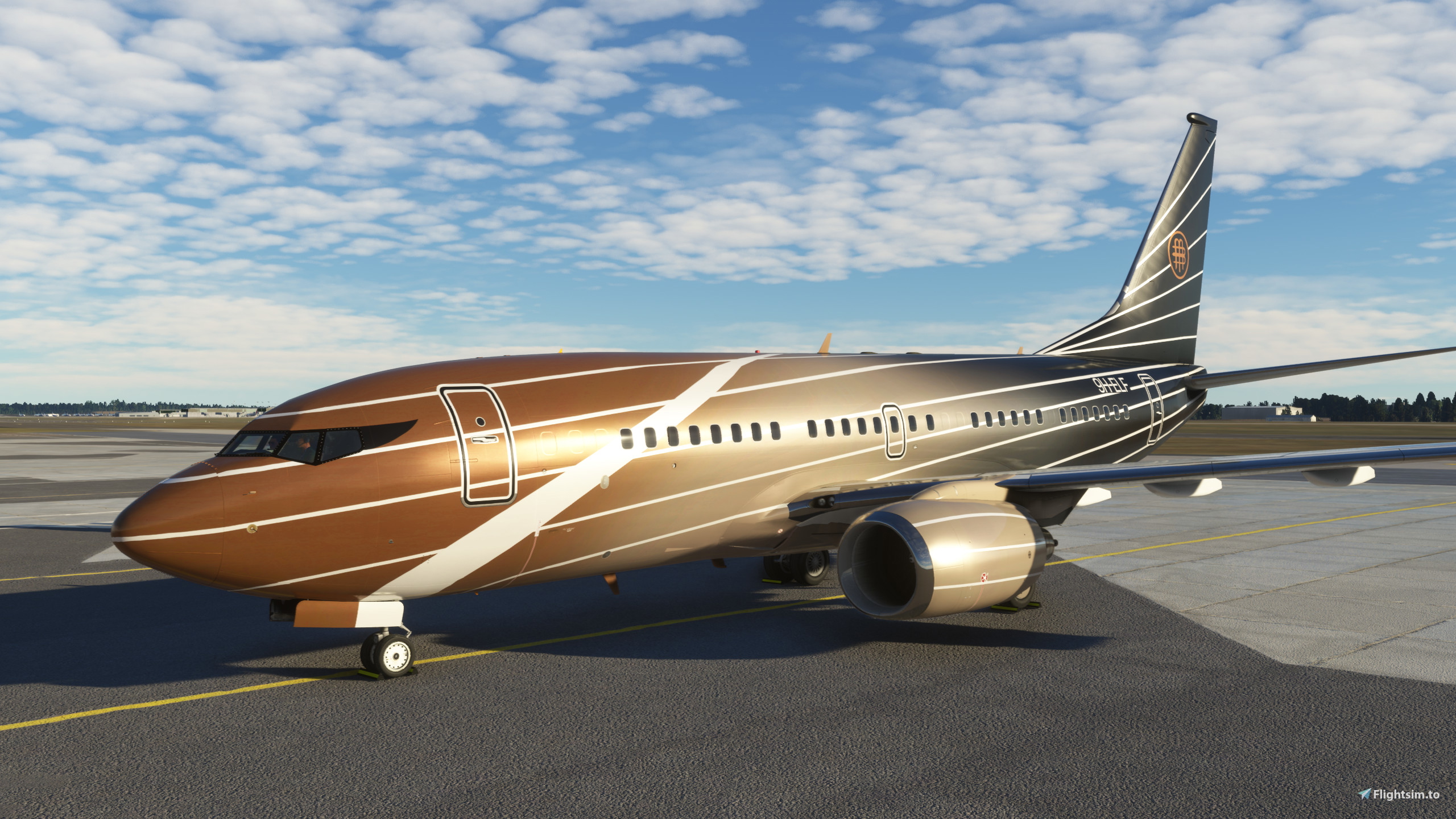 PMDG 737-700BBJ 9H-ELF - Image 1