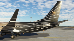 PMDG 737-700BBJ 9H-ELF thumbnail 2