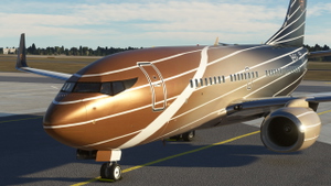 PMDG 737-700BBJ 9H-ELF thumbnail 4