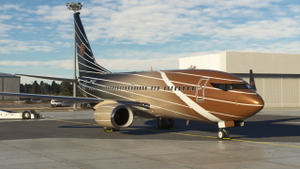PMDG 737-700BBJ 9H-ELF thumbnail 6
