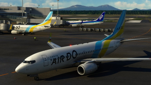 PMDG 737-700BW Air Do "Wing of Hokkaido" Full Fleet Pack (w/cabin)