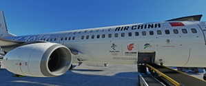 PMDG 737-800 Air China (2022 Winter Olympics Ice&Snow livery B-5425) 国航冬奥彩绘B-5425 thumbnail 5