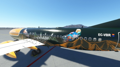 PMDG 737-800 Air Lince (EC-VBR Andalucia)