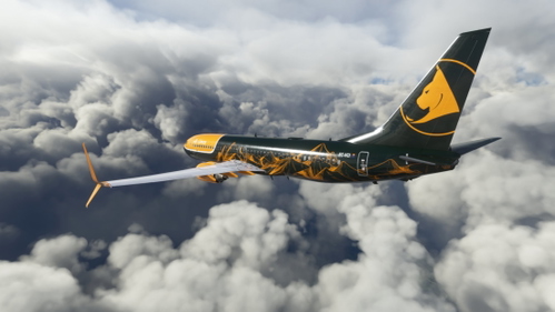 PMDG 737-800 Air Lince (EC-VCI)