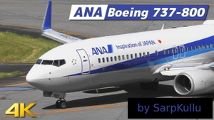 PMDG 737-800 ANA All Nippon Airways JA78AN Livery thumbnail 3