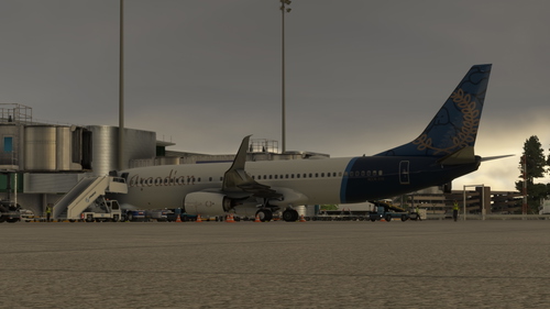 PMDG 737-800 | Arcadian Airways | (Virtual Airline)