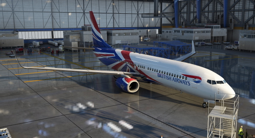 PMDG 737-800 BBJ British Airways Concept