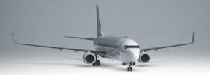 PMDG 737-800 BBJ2 White (Unpainted BW & SSW) thumbnail 1