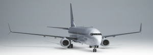 PMDG 737-800 BBJ2 White (Unpainted BW & SSW) thumbnail 2