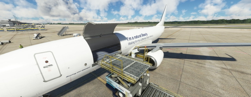 PMDG 737-800 BCF Lufthansa Cargo, Natural Beauty fictional
