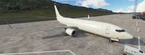 PMDG 737-800 BDSF Airwork New Zealand (ZK-TLM)