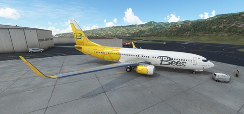 PMDG 737-800 Bees Airline /w four Registration 