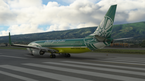 PMDG 737-800 BWIA 
