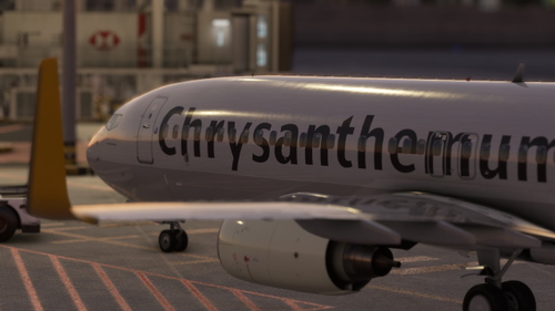 PMDG 737-800 Chrysanthemum Air B-5877 Liangping Zhangyazi
