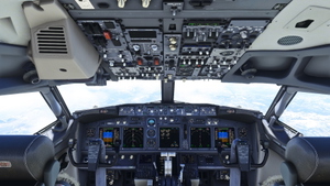 PMDG 737-800 Custom Views thumbnail 1