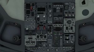 PMDG 737-800 - Empty Cold & Dark Panel State - No Payload + 15% Fuel in Tanks thumbnail 3