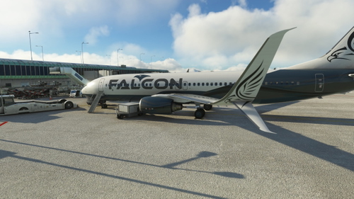 PMDG 737-800 Falcon Airlines Pack