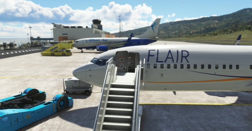 PMDG 737-800 Flair (OK-TSS)