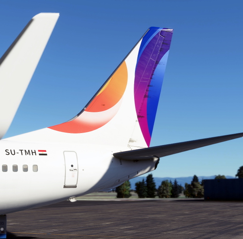 PMDG 737-800 FlyEgypt SU-TMH
