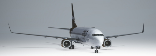 PMDG 737-800 - Gold Virtual Airlines 10 Years
