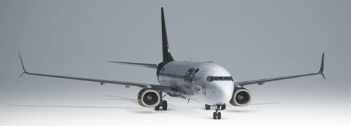 PMDG 737-800 - Gold Virtual Airlines - World Cup 2022 - BR