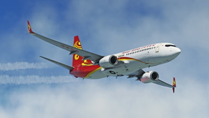 [DISCONTINUED] PMDG 737-800 Hainan Airlines 海南航空 (B-5852/B-1997) 8K thumbnail 7