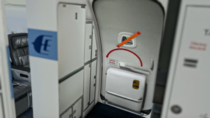 PMDG 737-800 Malaysia Airlines (9M-MLP | Malaysia for ICAO Council) + Cabin thumbnail 12