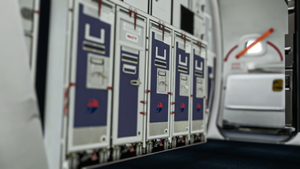 PMDG 737-800 Malaysia Airlines (9M-MLP | Malaysia for ICAO Council) + Cabin thumbnail 11