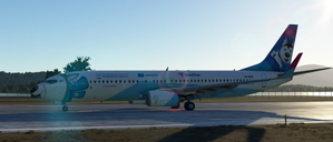 PMDG 737-800 Nordstar Laikolet thumbnail 2