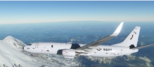 PMDG 737-800 P-8A of the Screaming Eagle's of VP-1 of NAS Whidbey Island, WA