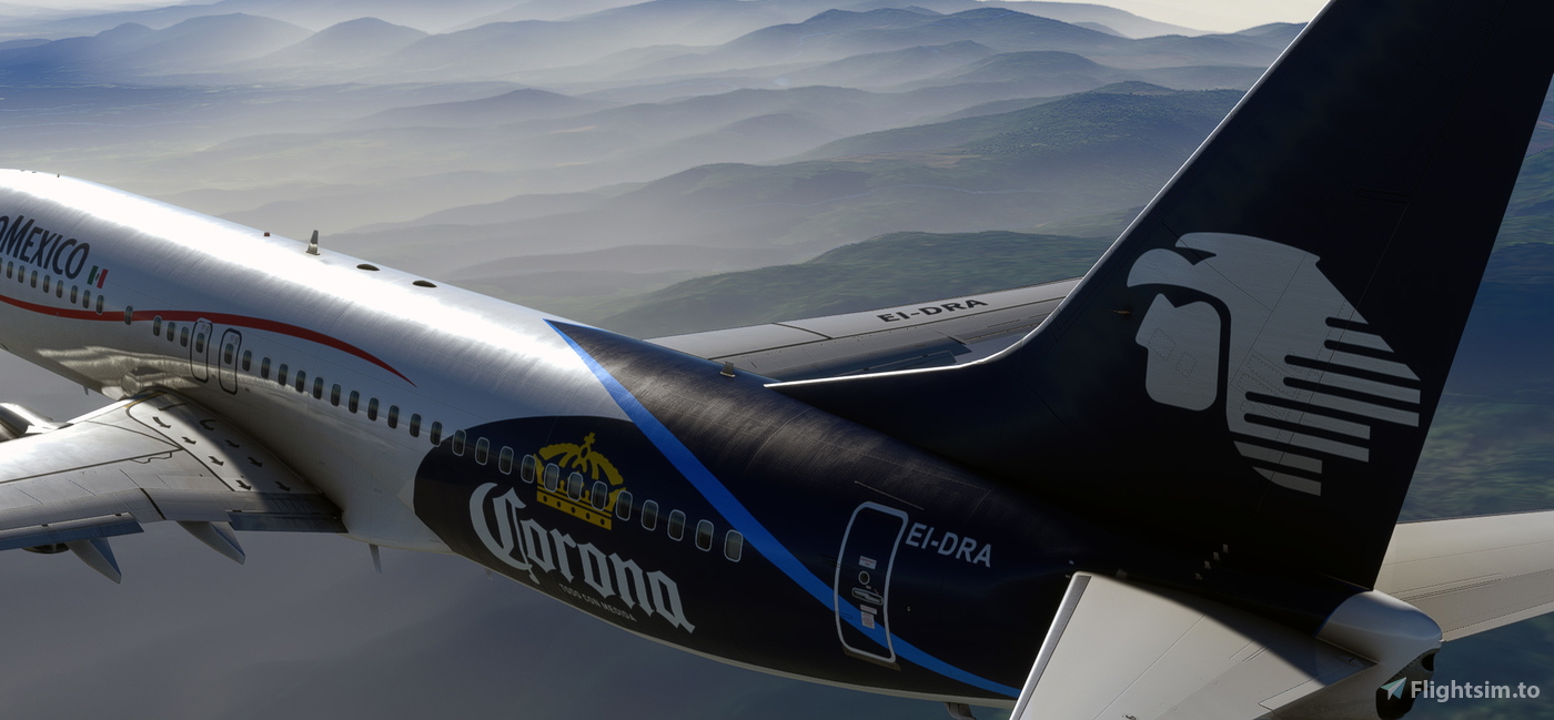 PMDG 737-800 PAX & BBJ