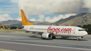 Pegasus Airlines thumbnail 4