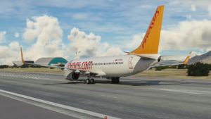Pegasus Airlines thumbnail 3