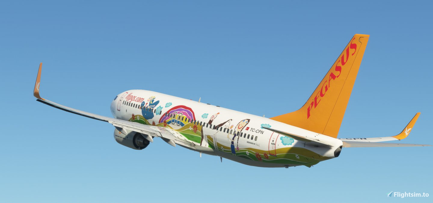 PMDG 737-800 Pegasus Airlines TC-CPN 'Ada E.' - Image 1