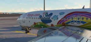 PMDG 737-800 Pegasus Airlines TC-CPN 'Ada E.' thumbnail 4