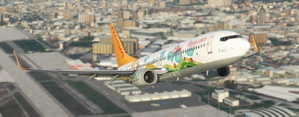 PMDG 737-800 Pegasus Airlines TC-CPN 'Ada E.' thumbnail 7