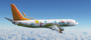 PMDG 737-800 Pegasus Airlines TC-CPN 'Ada E.' thumbnail 8