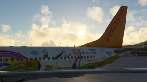 PMDG 737-800 Pegasus Airlines TC-CPN 'Ada E.' thumbnail 5