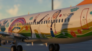 PMDG 737-800 Pegasus Airlines TC-CPN 'Ada E.' thumbnail 6