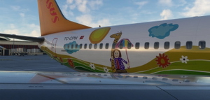 PMDG 737-800 Pegasus Airlines TC-CPN 'Ada E.' thumbnail 3