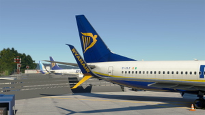 PMDG 737-800 Ryan Air SSW (EI-DLY) Double Pack - Clean and Weathered with Interior thumbnail 9