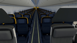 PMDG 737-800 Ryan Air SSW (EI-DLY) Double Pack - Clean and Weathered with Interior thumbnail 13