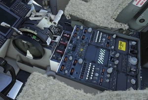 PMDG 737-800 Ryanair Livery Pack & Cabin thumbnail 8