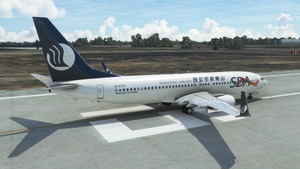 [DISCONTINUED] PMDG 737-800 ShanDong AirLines 山东航空公司 B-5727 thumbnail 9