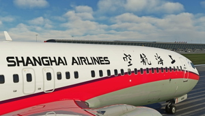 PMDG 737-800 Shanghai Airlines 上海航空公司 B-6866 8K (OLD TYPE) thumbnail 1