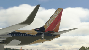 PMDG 737-800 Southwest Airlines | Shamu One Pack | N715SW N501SW thumbnail 14