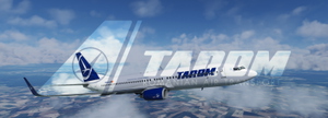 PMDG 737-800 Tarom (YR-BGJ) thumbnail 5